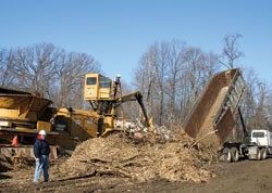 Providence Sister Dana Augustin stands next to natural materials that will soon be re-used in a biomass energy process to provide heat for her congregation’s motherhouse at Saint Mary-of-the-Woods. (Submitted photo) 